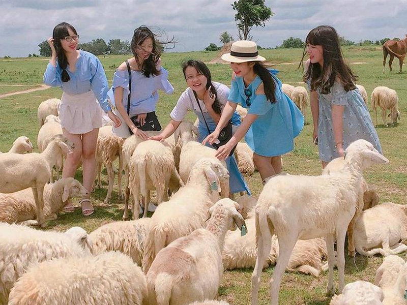 Du lịch Vũng Tàu