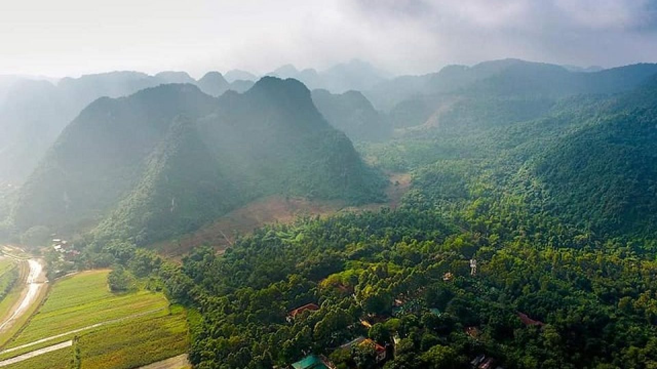 Vườn quốc gia Pù Mát
