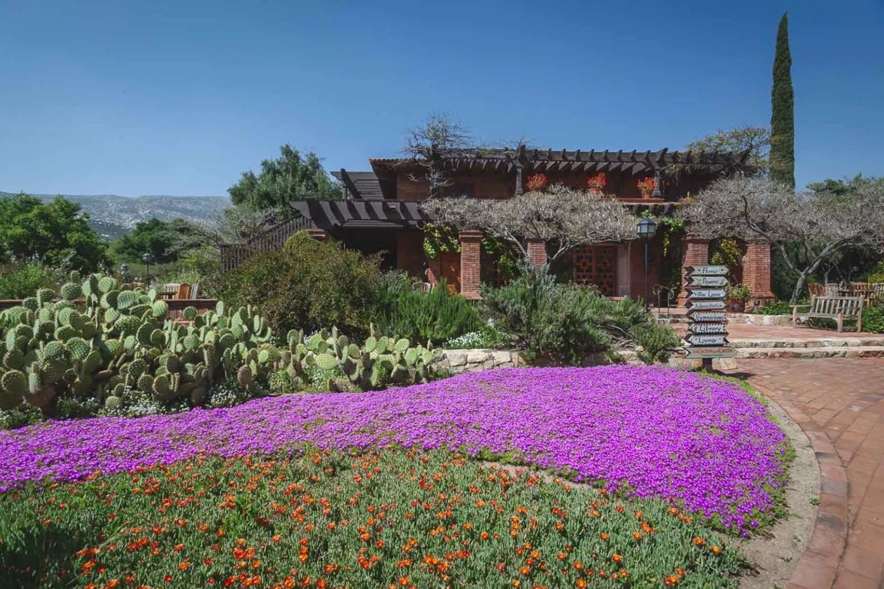Tecate – Rancho La Puerta