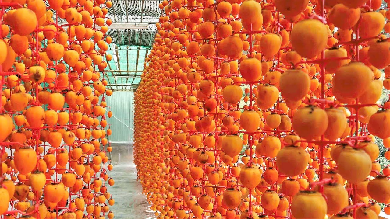 Hồng treo gió Đà Lạt