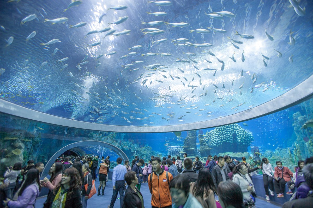 vịnh Hải Dương Học Nha Trang
