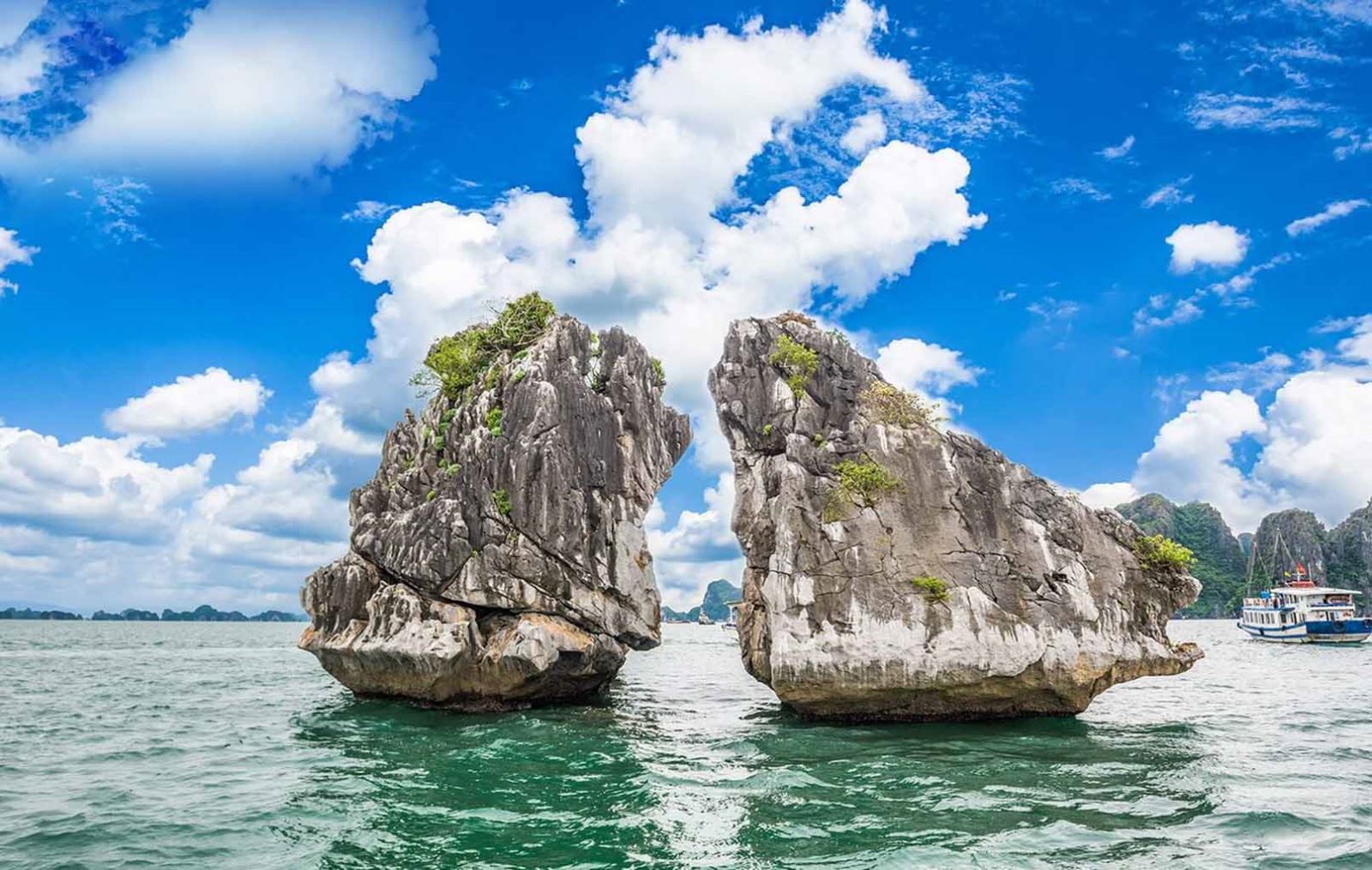 Vịnh Hạ Long