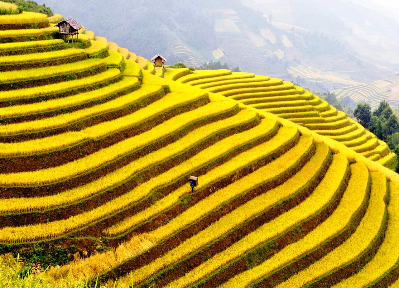 5 lý do bạn nên du lịch Sapa vào tháng 9 năm 2020