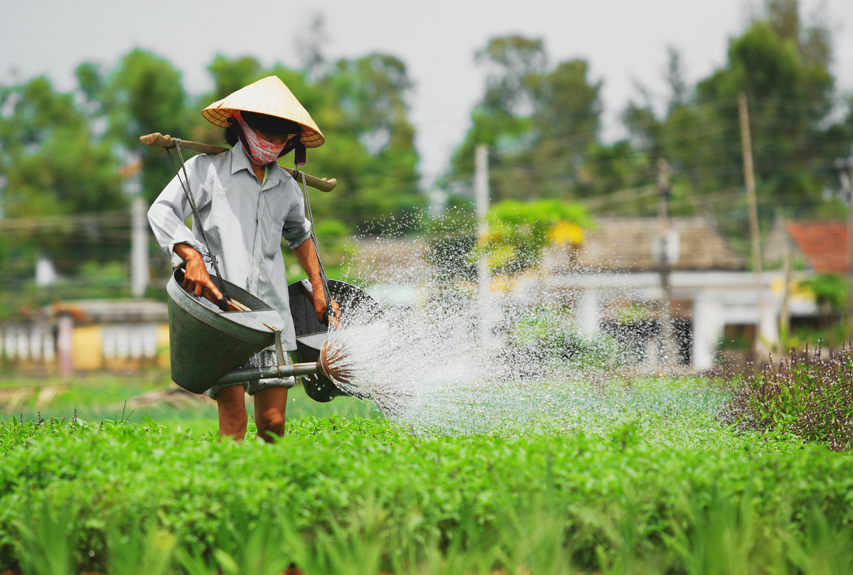 Du lịch Hội An 2020 - Những điểm không thể bỏ qua