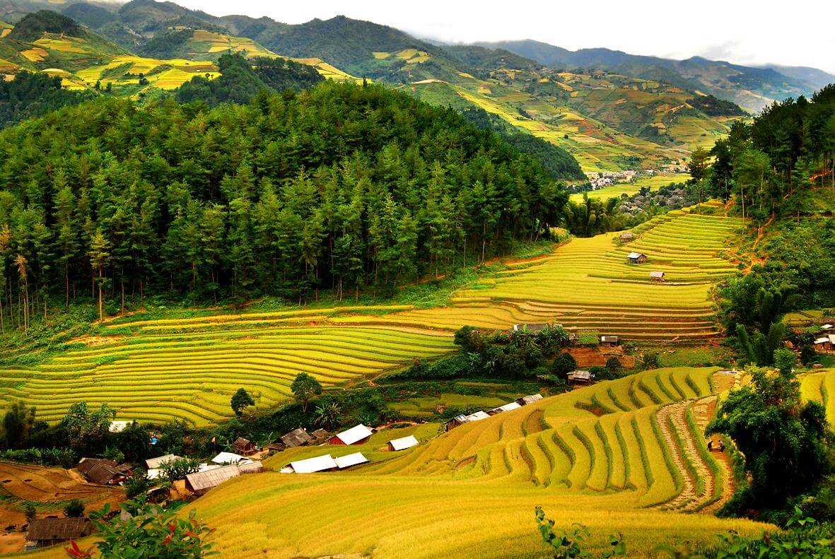 Kinh nghiệm du lịch Pù Luông từ A đến Z