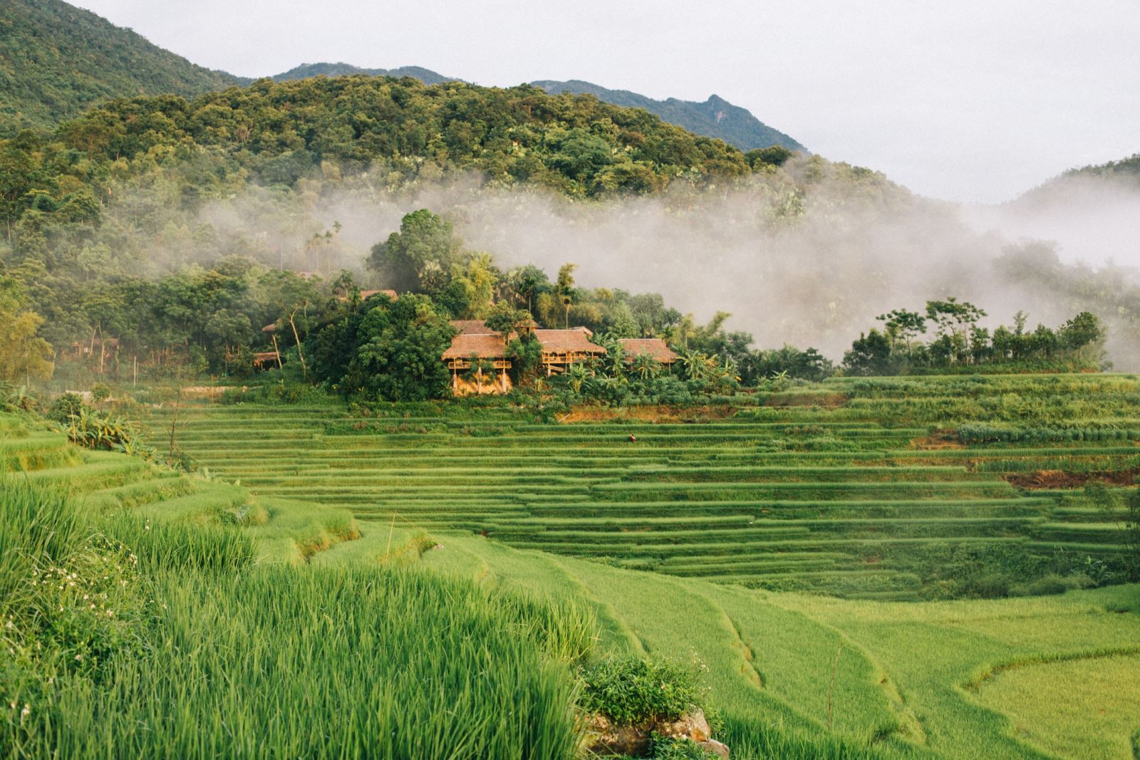 Kinh nghiệm du lịch Pù Luông từ A đến Z