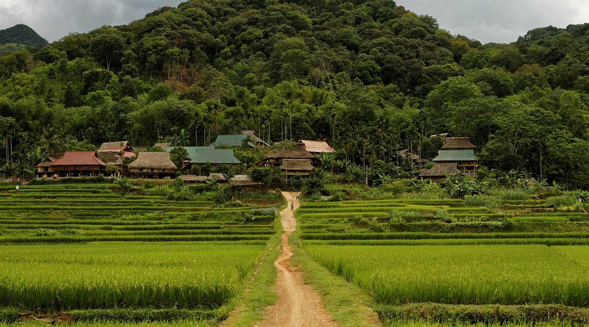 Kinh nghiệm du lịch Pù Luông từ A đến Z