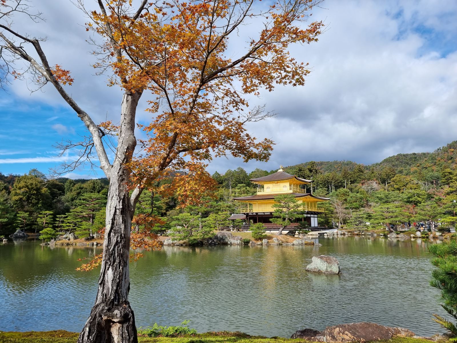 Chùa vàng Kinkakuji