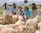 Du lịch Vũng Tàu có gì: 10 điểm đến hấp dẫn nhất
