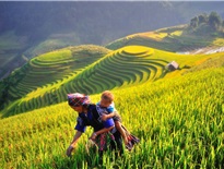 5 lý do bạn nên du lịch Sapa