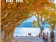 Tour Hà Nội - Hoàng Sơn - Thượng Hải - hàng Châu 6 Ngày 5 đêm