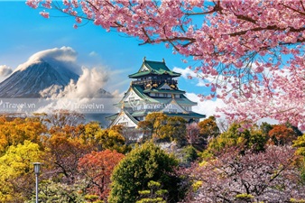 Vẻ đẹp của lâu đài văn hóa Osaka - Nhật Bản