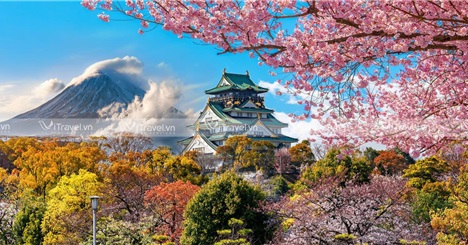 Vẻ đẹp của lâu đài văn hóa Osaka - Nhật Bản