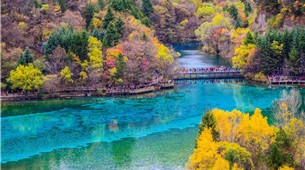 Tour du lịch Thành Đô - Cửu Trại Câu: Công Viên Gấu Trúc – Cửu Trại Câu - Thành Cổ Tùng Phan – Lạc Sơn Đại Phật 6 Ngày 5 Đêm