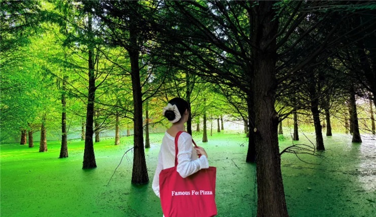 Tour Đại Lý – Côn Minh 4N3Đ | No Shopping | Khởi Hành Hàng Tuần Từ Hà Nội