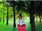 Tour Đại Lý – Côn Minh 4N3Đ | No Shopping | Khởi Hành Hàng Tuần Từ Hà Nội