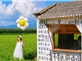 Tour Đại Lý – Côn Minh 4N3Đ | No Shopping | Khởi Hành Hàng Tuần Từ Hà Nội