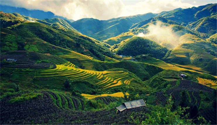Tour du lịch Mù Cang Chải - Sapa mùa lúa chín