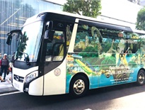 Phương tiện đi lại Phú Quốc, có những phương tiện nào