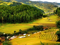 Khu bảo tồn thiên nhiên Pù Luông