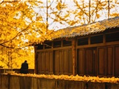 Đằng Xung - Vân Nam - Thành phố hổ phách của Trung Hoa.