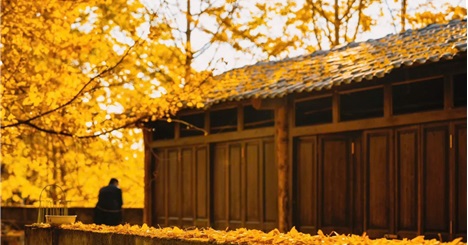 Đằng Xung - Vân Nam - Thành phố hổ phách của Trung Hoa.